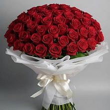 Букет 101 Красная роза Блэк Мэджик в Зетеречный