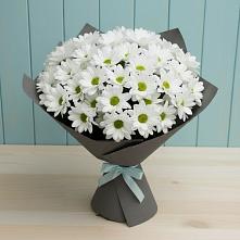 Букет цветов из:  Хризантемы #REPLACE_PRED# Зетеречный