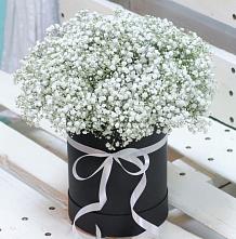 Цветочная композиция из Гипсофила в шляпной коробке #REPLACE_PRED# Зетеречный