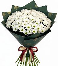 Букет цветов из:  Хризантемы #REPLACE_PRED# Зетеречный