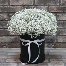 Цветочная композиция из Гипсофила в шляпной коробке в Зетеречный